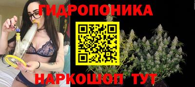apvp Коммунар