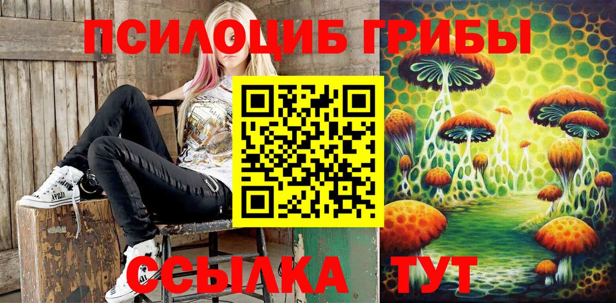 Псилоцибиновые грибы Magic Shrooms  Псилоцибиновые грибы мицелий  Химки  Вход с VPN 