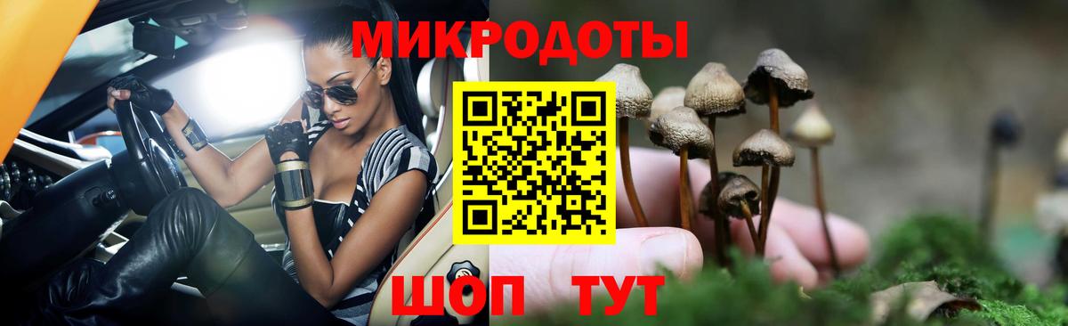 Галлюциногенные грибы Magic Shrooms Химки